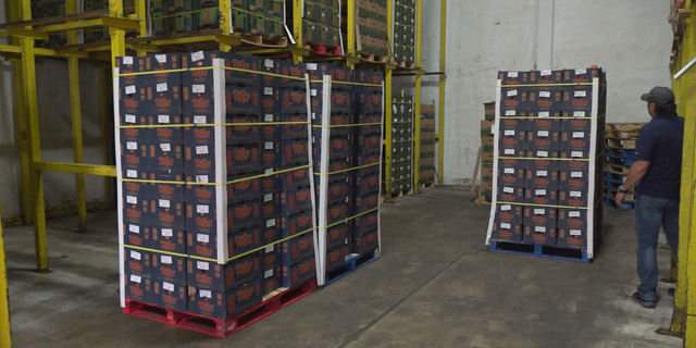 Knight said his fridge warehouse is almost always full, even with the floor covered in pallets. It hasn’t been like that recently, as floors have been bare and some parts of the facility has been empty.
