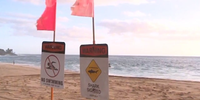 Shark warning signs have been posted on beaches near Waikoloa, Hawaii after a woman was bitten by a shark on Tuesday.
