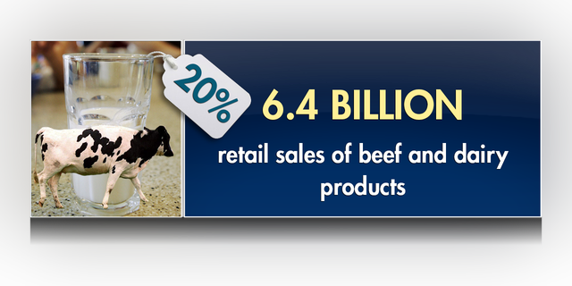 The industry produces $6.4 billion retail sales of beef and dairy products, almost 20 percent of food store sales in Florida