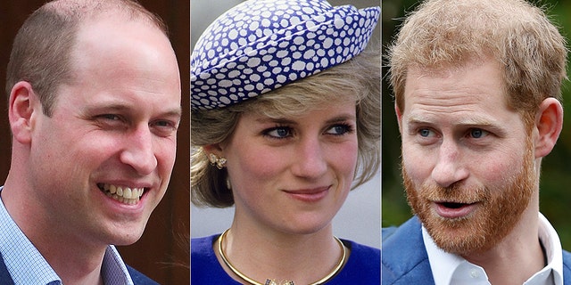 Prince Harry will get some much-needed inspiration from big brother Prince William and their late mother Princess Diana as he navigates parenthood for the first time. — AP/Reuters