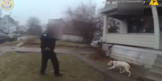 The graphic video shows the dog hanging over the side of the two-story house.