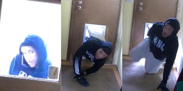 The "Doggie Door Bandit" slipped into a home on April 2, before stealing several items, according to police.