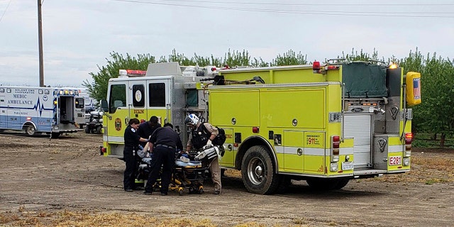 Fire and medical officials attend to one of two teenage boys who were electrocuted while trying to rescue a dog from an irrigation canal at an orchard in Dixon, Calif. (California Highway Patrol/Via AP)