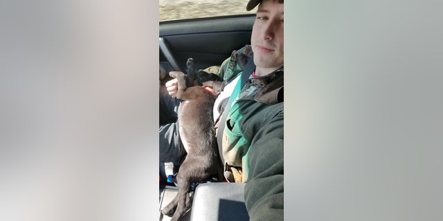 Now happily settled into his new home, Emerson is excelling at learning visual commands and sign language from Abbot, like sitting and lying down.
