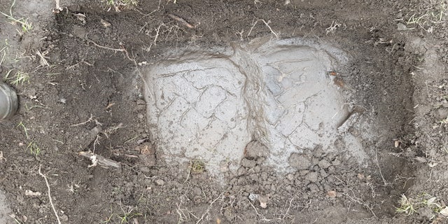 A Govan Stone emerges from the dirt.