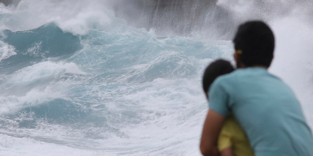 A man and his son watch as waves crash off sea cliffs along the southeast shore of Oahu as Hurricane Lane approaches Honolulu, Hawaii, on Aug. 24, 2018. (AP Photo/Caleb Jones, File)