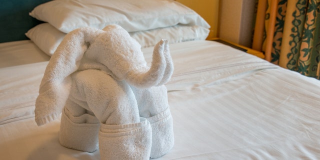 Norwegian Cruise Line has announced it is testing cutting back on its daily practice of automatically making animal shapes out of bath towels.