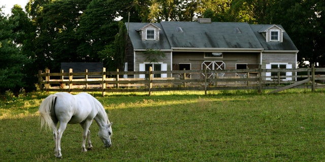 Sheriffs across the Bluegrass State have had several instances of barnwood theft reported in 2019 – with some barns “stripped down to their frames and aluminum roofs” in recent months, as per the Courier-Journal; unfortunately, it is difficult for law enforcement to catch, let alone track down, the crooks.