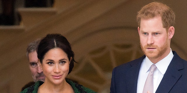 British journalist Angela Levin says Prince Harry has been incredibly supportive of his wife Meghan Markle.
