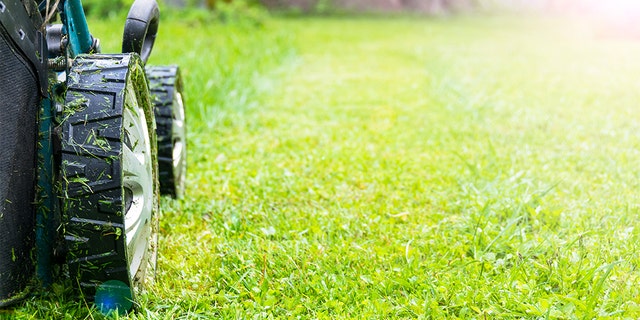 Adam Gonzales was mowing grass on Thursday in Hunt, Texas, when he and the mower fell into a river, officials said.