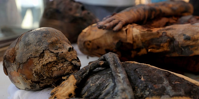 Two mummies, of a woman and child, are on display at the newly discovered burial site, the Tomb of Tutu, at al-Dayabat, Sohag, Egypt April 5, 2019. REUTERS/Mohamed Abd El Ghany
