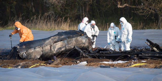 Investigators stand around the debris of a small plane at an asparagus field in the village Erzhausen near Frankfurt, Germany, Monday, April 1, 2019.
