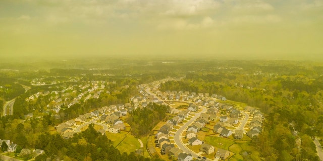 A thick, green cloud of pollen can be seen over Durham, North Carolina on Monday.