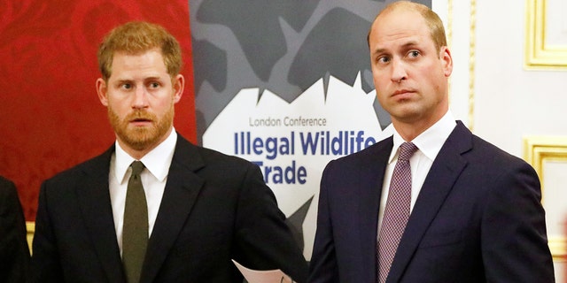Prince Harry and his older brother, Prince William, second on the British throne, would have been arguing since Harry met Meghan Markle.