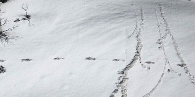 Footprints are seen in the snow near Makalu Base Camp in Nepal, in this picture taken on April 9. Mountaineers from the Indian army on expedition in Nepal have found mysterious large footprints in the snow that they think belong to the Yeti, or the abominable snowman, the military said on Tuesday.