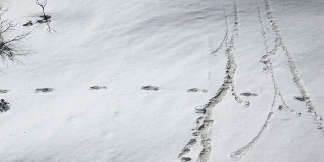 Footprints are seen in the snow near Makalu Base Camp in Nepal, in this picture taken on April 9. Mountaineers from the Indian army on expedition in Nepal have found mysterious large footprints in the snow that they think belong to the Yeti, or the abominable snowman, the military said on Tuesday.