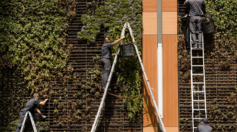 Fox News Flash top headlines for April 30