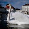 Swans glide over a small pond in front of the Nymphenburg Castle in Munich, April 7, 2019. 