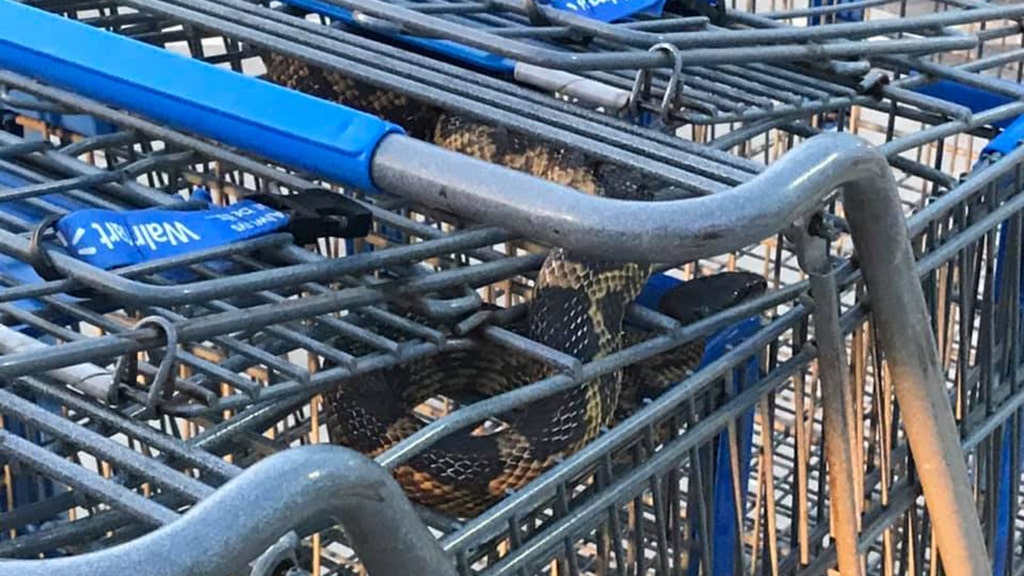 Walmart worker makes shocking discovery in shopping carts