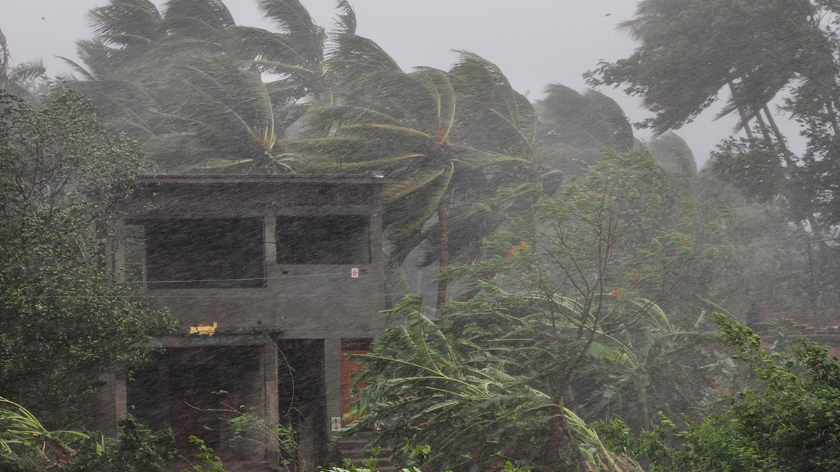 An abandoned house and trees bend with gusty winds ahead of the landfall of cyclone Fani on the outskirts of Puri, in the Indian state of Odisha. (AP Photo)