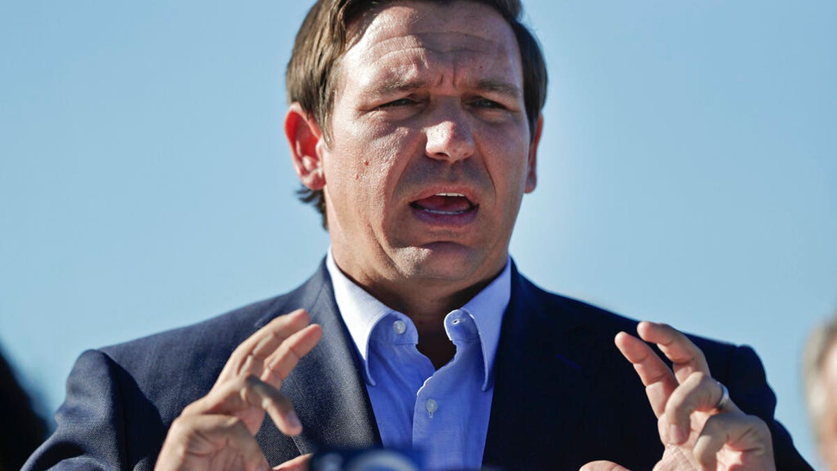 Florida Gov. Ron DeSantis speaks at news conference in Fort Lauderdale, Fla., Jan. 29, 2019. (Associated Press)