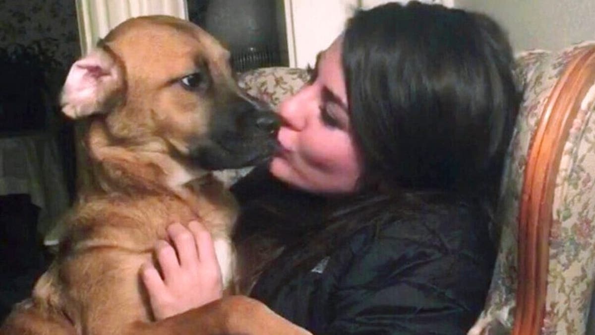 Jessica Sardina is fighting for custody of a dog named Honey, pictured here, that she shared with her ex-boyfriend.<br data-cke-eol="1">