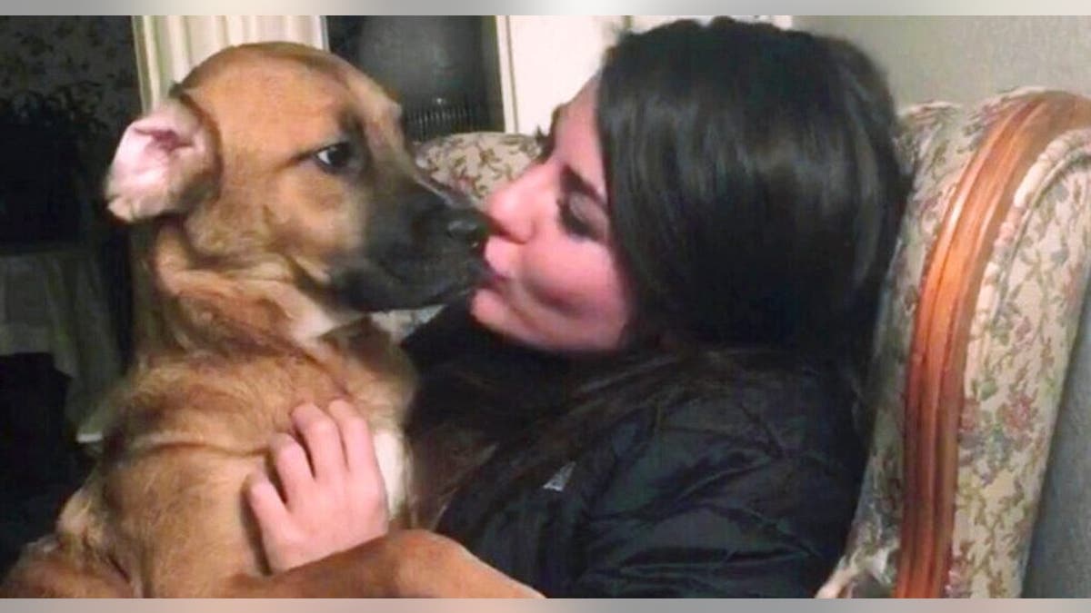 Jessica Sardina is fighting for custody of a dog named Honey, pictured here, that she shared with her ex-boyfriend.<br data-cke-eol="1">