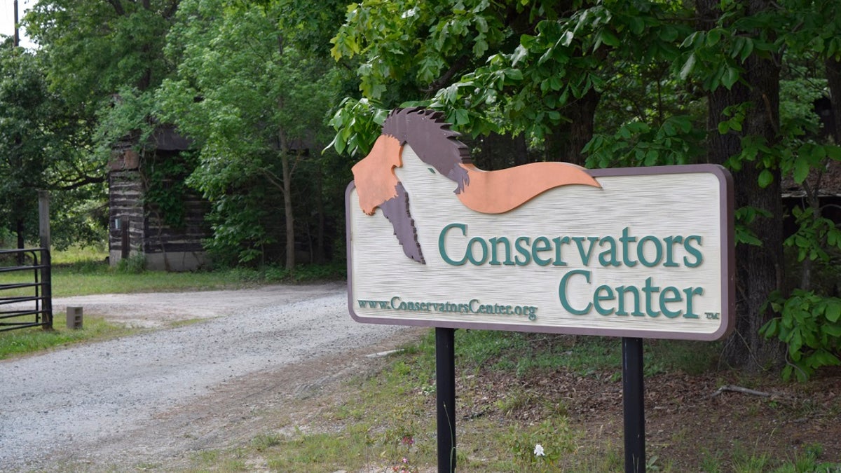 In this May 4, 2019 photo, the entrance to The Conservators Center in Burlington, N.C., is open for visitors. The park re-opened in February 2019 after an intern was mauled to death by a lion that escaped its inclosure in December 2018. ( AP Photo/Amanda Morris)