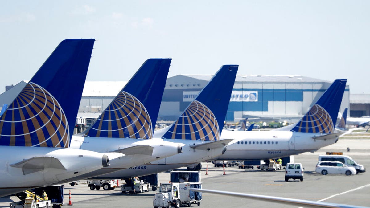 FILE: United Airlines commercial jets sit at a gate at Terminal C of Newark Liberty International Airport in Newark, N.J. 