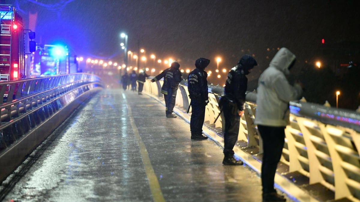 Rescuers and police officers looking at the scene from a landing dock in Budapest. (Zsolt Szigetvary/MTI via AP)