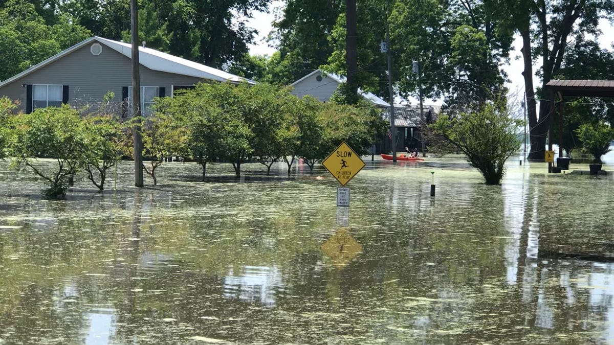 Residents of Eagle Lake, Mississippi getting around by boat as flood water rises more than halfway up trees and poles. (Fox News/Charles Watson)