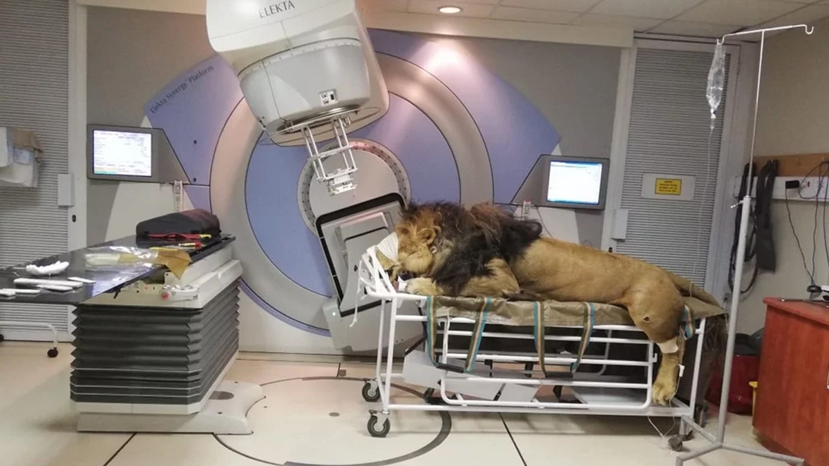 Chaos was treated for skin cancer at the Muelmed Mediclinic.