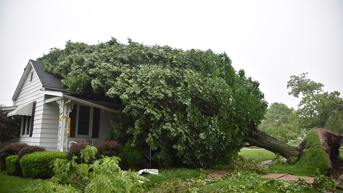 An uprooted tree resting on a house Thursday morning in Eldon, Mo. The family living in the house returned Thursday after consulting a tree removal specialist.