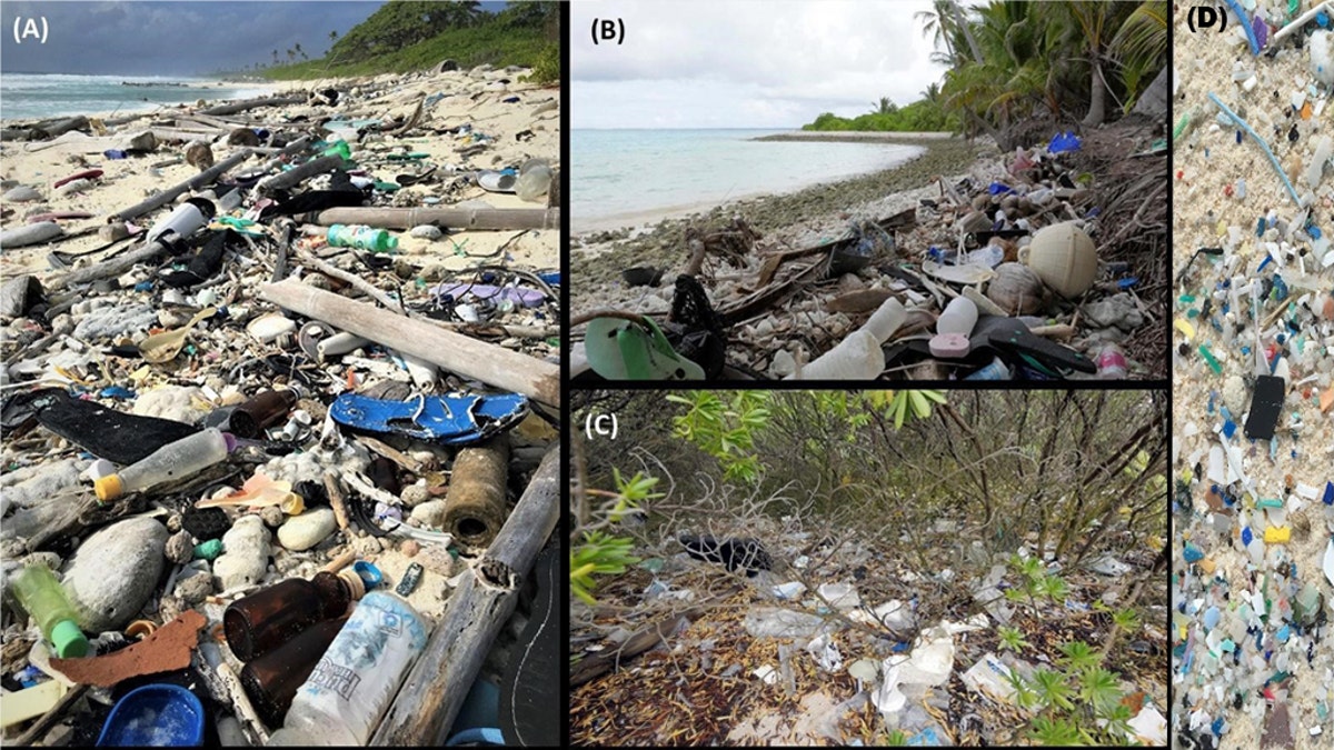 Marine biologist Jennifer Lavers published a study Thursday about plastic debris she and her colleagues found on seven of the Cocos Keeling Islands in 2017. Pictured: (A) eastern side of South Island, (B) north side of Direction Island, (C) beach-back vegetation along the north-east side of Home Island, (D) micro-plastics along the eastern side of South Island.<br>