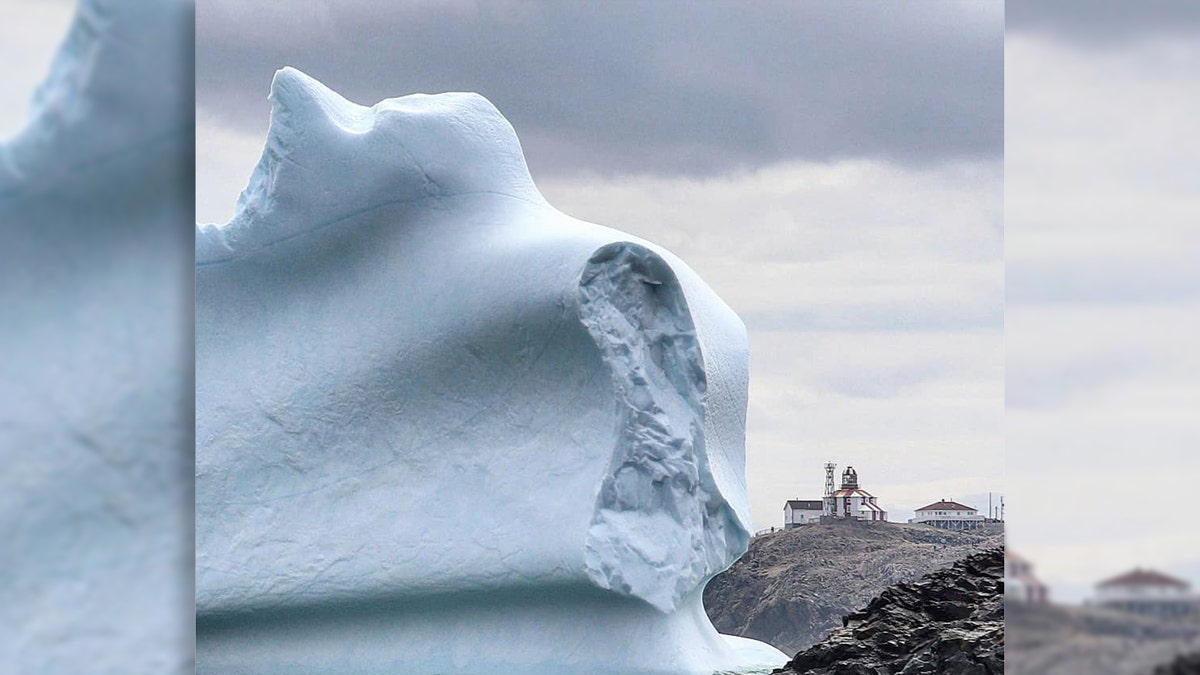 A huge iceberg passes by Cape Bonavista Lighthouse.