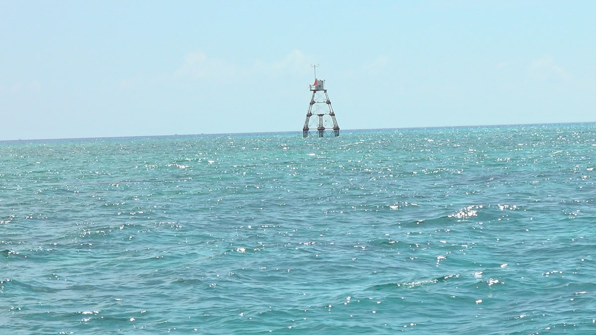 The U.S. Coast Guard has been maintaining lighthouses since 1939 when the U.S. Lighthouse Service merged with the Coast Guard