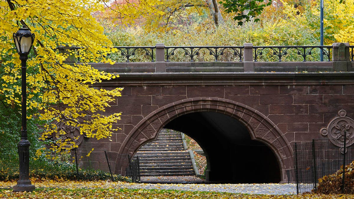 A man was found hanging from an overpass like this one, in an apparent suicide early Friday in New York's Central Park