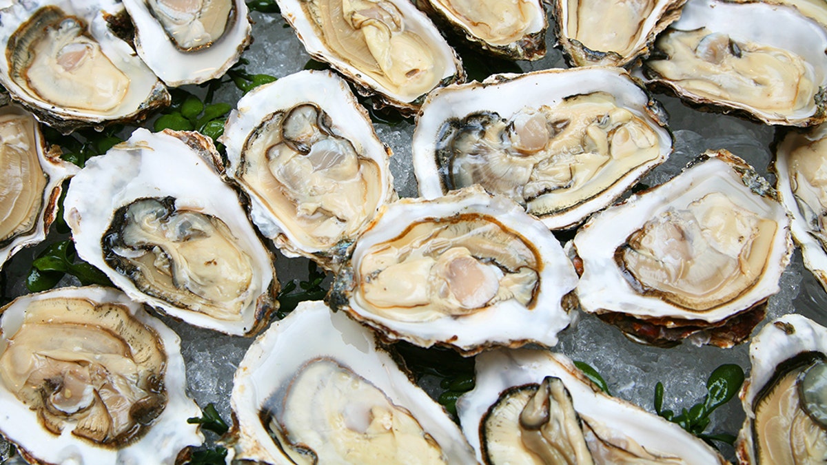 The U.S. Centers for Disease Control and Preventions recommends cooking oysters to avoid Vibrio bacteria, which can cause mild to severe illnesses in humans, including vibrosis. The CDC estimates 80,000 people get infected by the foodborne illness every year, which can cause diarrhea, vomiting or death in extreme cases.
