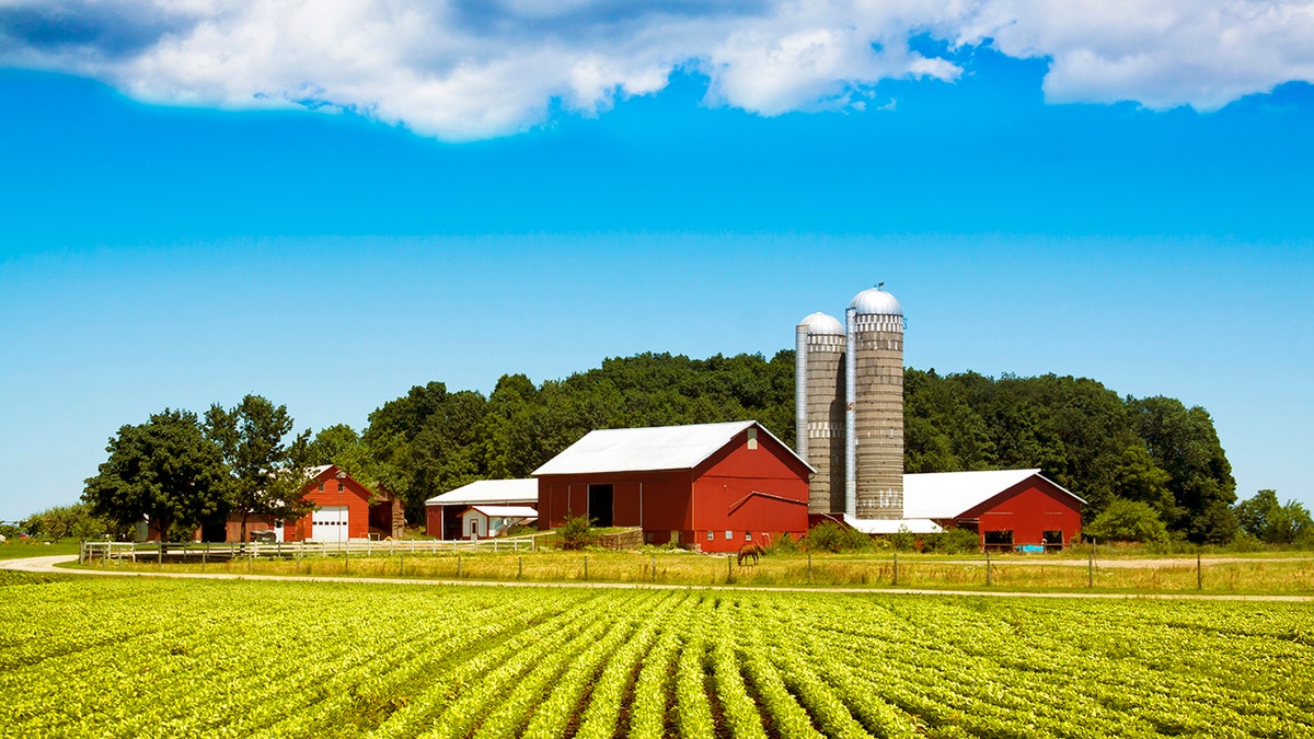 Agriculture Sec. Sonny Perdue said in a statement sent to Fox News that the move is meant “to improve performance and the services these agencies provide.” The secretary of agriculture added that the planned move would bring the department’s scientists closer to “stakeholders” and “customers” such as Midwest farmers. (iStock)