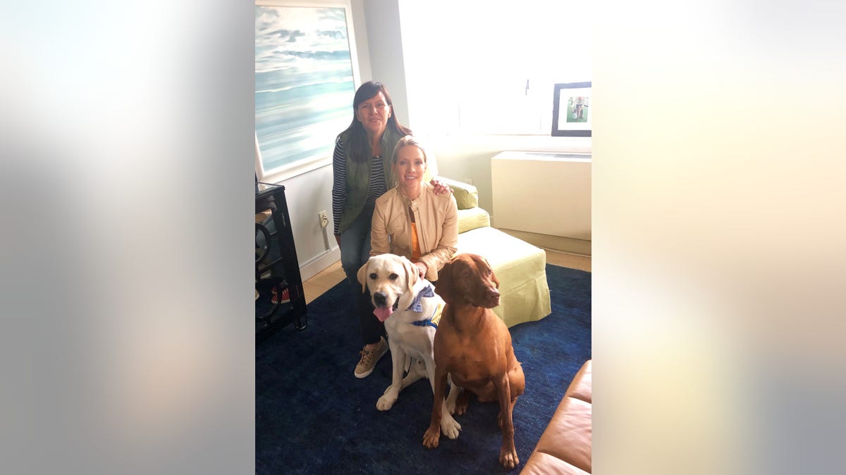 Dana Perino, the world's biggest dog lover and anchor of The Daily Briefing, has generously offered several times before to take Spike when something comes up. I must admit I was hesitant when Spike was younger, because she didn’t know the program. But also because Jasper, Perino’s dog, has VERY different rules from Spike.