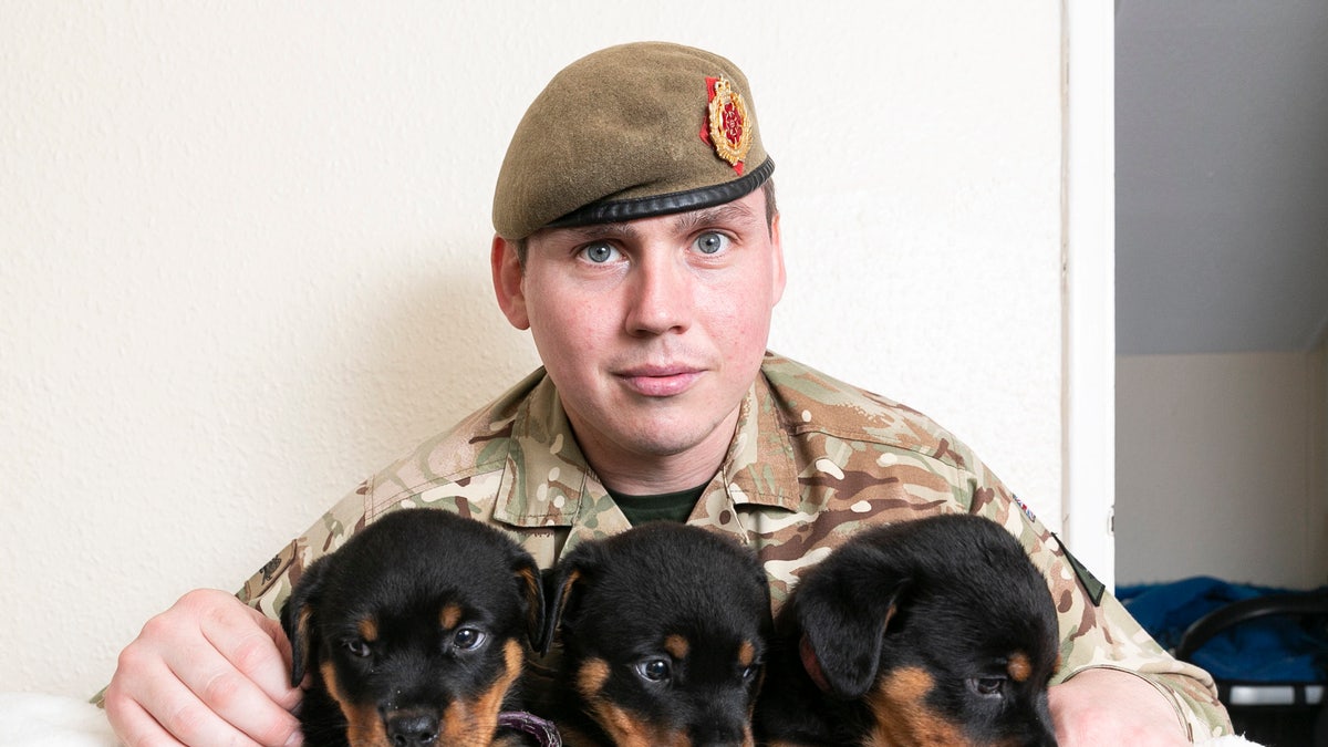 The peppy pups have joined Mark, 32, wife Laura, and their five children, including one newborn, at their four-bedroom house on army barracks.