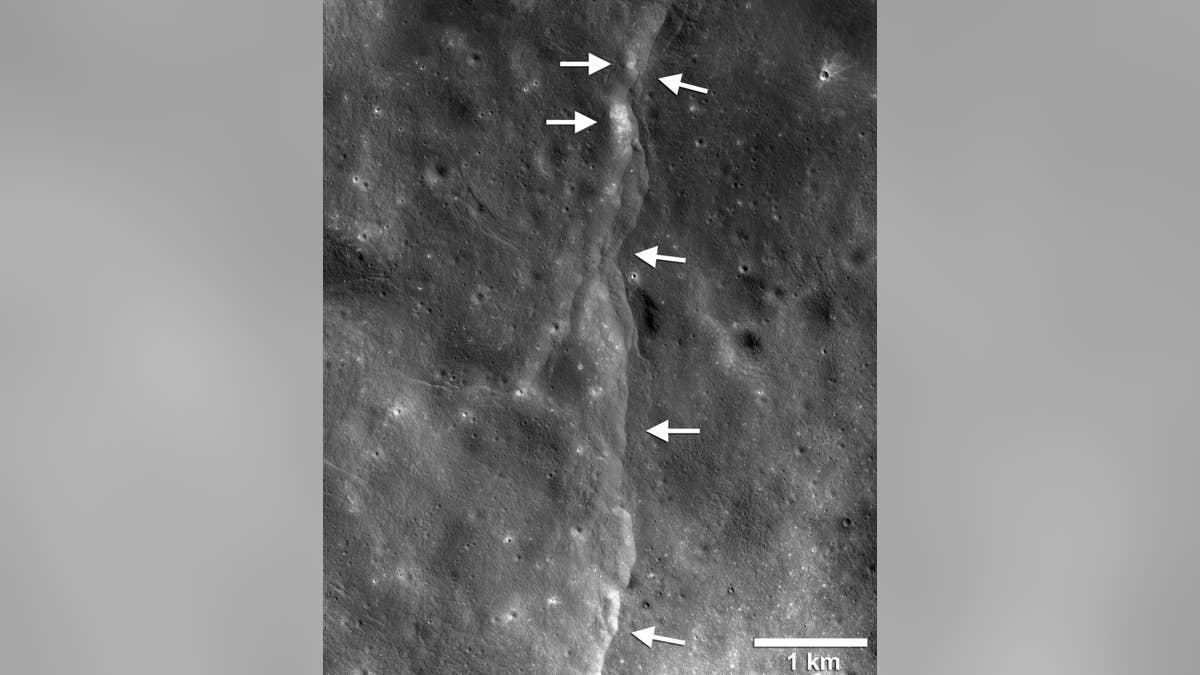 This prominent thrust fault is one of thousands discovered on the moon by NASA's Lunar Reconnaissance Orbiter. These faults, called scarps, resemble small stair-shaped cliffs when seen from the lunar surface. The scarps form when one section of the moon's crust (left-pointing arrows) is pushed up over an adjacent section (right-pointing arrows) as the moon's interior cools and shrinks. New research suggests that these faults may still be active.