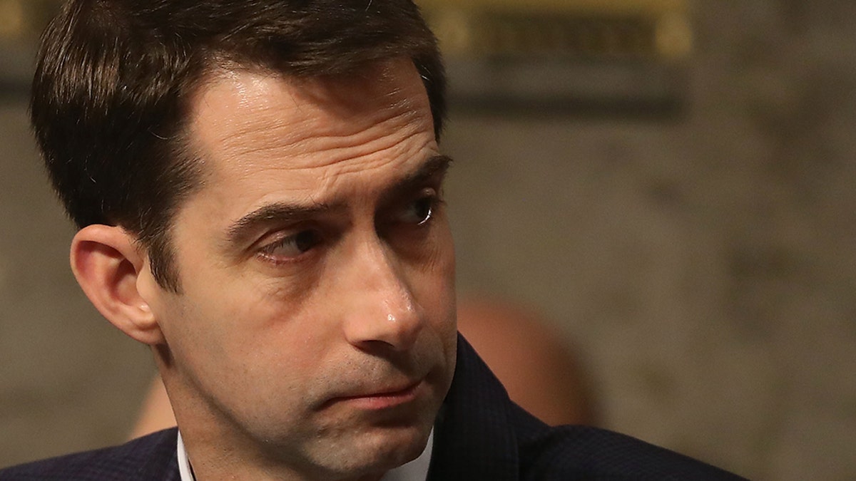 File photo - Sen. Tom Cotton (R-AR) participates in a Senate Armed Services Committee hearing on Capitol Hill, on January 25, 2018 in Washington, DC.