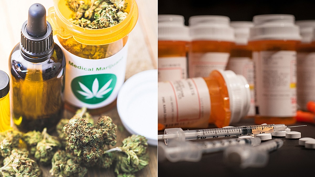Colorado signed a bill on Thursday which will allow doctors to recommend medical marijuana to treat conditions they've previously used painkillers for.