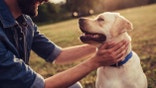 dog with young man outside