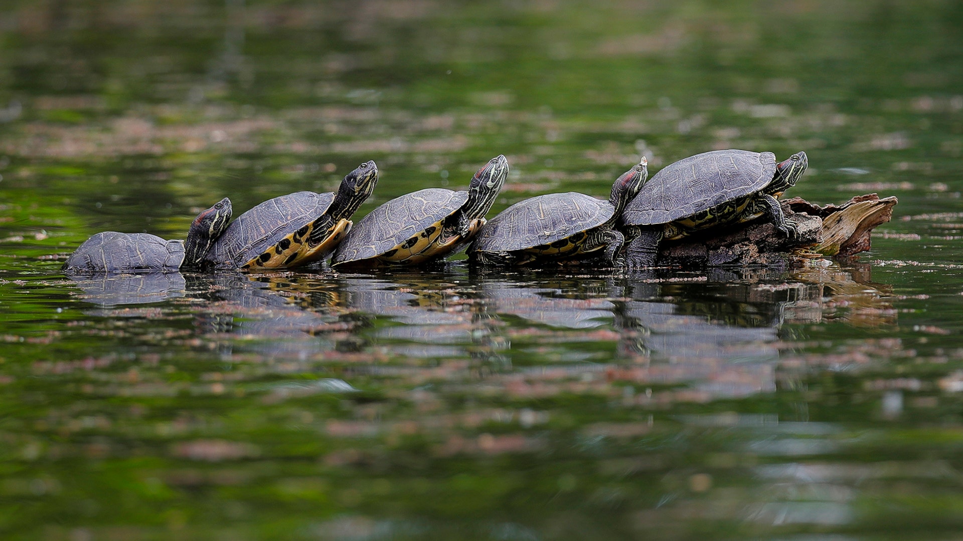 The week in pictures, April 27 May 3 Fox News