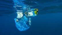 Plastic waste in oceans will triple by 2040, researchers say