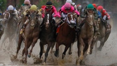 California racetrack suing animal-rights activists for disrupting horse racing: report