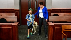 The Daily Spike: Law allowing courtroom canines passes in Colorado