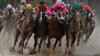 California racetrack suing animal-rights activists for disrupting horse racing: report